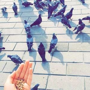 Meet your Posher, Zainab